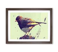 Robin Bird Art Painting Vol.2 Framed Print | A4 Walnut Framed Wall Art | Ready to Hang | Modern Animal Picture | Living Room Bedroom Lounge Office