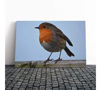 Robin Bird Canvas Wall Art Print 24x16 Inch