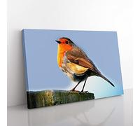 Robin Bird Modern Canvas Wall Art Print Ready to Hang, Framed Picture for Living Room Bedroom Home Office Décor, 60x40 cm (24x16 Inch)