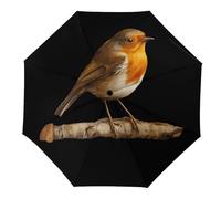Robin Bird on Wood Travel Umbrella Automatic And Manual Sun&Rain Umbrellas 3 Folding Umbrellas for Women Men Funny Print