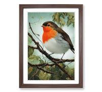 Robin Bird Painting Vol.3 Framed Wall Art Print, Ready to Hang Picture for Living Room Bedroom Home Office, Walnut A2 (48 x 66 cm)