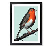Robin Bird Portrait Framed Wall Art Print A2 Black