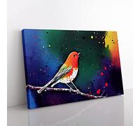 Robin Bird Splash Vol.1 Abstract Canvas Wall Art Print Ready to Hang, Framed Picture for Living Room Bedroom Home Office Décor, 60x40 cm (24x16 Inch)