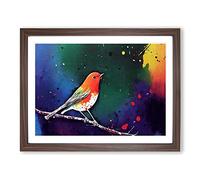 Robin Bird Splash Vol.1 Abstract Framed Print | A4 Walnut Framed Wall Art | Ready to Hang | Abstract Animal Picture | Living Room Bedroom Lounge Office