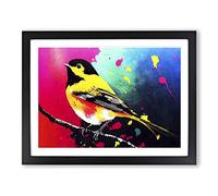 Robin Bird Splash Vol.4 Abstract Framed Print | A2 Black Framed Wall Art | Ready to Hang | Abstract Animal Picture | Living Room Bedroom Lounge Office