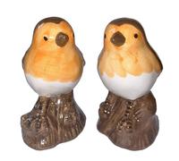 Robin Ceramic Salt & Pepper Shaker Cruet Set Novelty Animal Lover Gift, Boxed Robins Desgin 5610