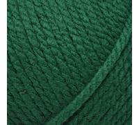 Robin Chunky 100g - 91 Emerald