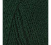 Robin DK 100g - Forest (045)