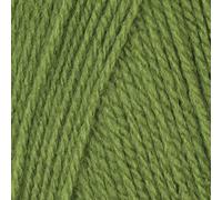 Robin DK Double Knitting Acrylic Yarn / Wool 100g - 016 Apple