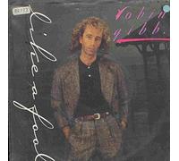 Robin Gibb - Like a Fool [VINYL]