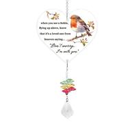 Robin Gift Memorial Acrylic Suncatcher with Crystal Prism When You See A Robin Sign Sympathy Gift for Loss of Loved One Bereavement Remember Me Garden Window Hanging Decor (Style 1)