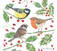 Robin, Great Tit & Sparrow - RSPB Small Square Christmas 10 Card Pack