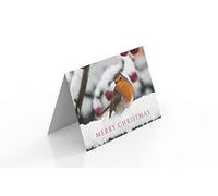 Robin in a Berry Tree Merry Christmas Greeting Card 125mm x 178mm Including Envelope GC445