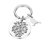 robin in garden (robin in garden)