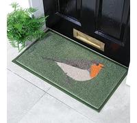 Robin Indoor Outdoor Doormat Green Recycled Mat for Bird Lovers Housewarming Gift Home Doormat Non Slip Entrance Rugs for Front Door, Inside Outside Entry, Porch 40x60cm