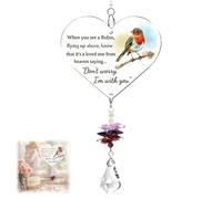 Robin Memorial Gifts,Warm Hanging Heart Plaque,Acrylic Sun Catcher with Poem for Garden & Windows,Outdoor Christmas Decorations & Ornament in Loving Memory,Garden Ornaments Outdoor,Robin Ornaments