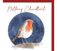 Robin "Nollaig Chridheil" Quality Blank Christmas Card - Gaelic Scottish Card - Single card