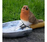Robin Sitting On Shovel Bird Feeder