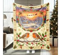 Robin Throw Blanket, Christmas Festive Holly Snow Xmas Red Furry Fuzzy Blankets Cozy Lightweight Decorative for Couch Sofa Bed Lap Office Chair Desk 60x80 Inch