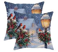 Robin Throw Pillow Covers Set of 2, Winter Festive Snow Lantern Christmas Red Soft Velvet Washable Decorative Pillow Cases for Living Room Bedroom Loft Office Car Decor 20x20 Inch