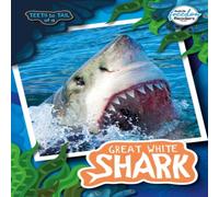 Robin Twiddy Teeth to Tail of a Great White Shark Book Robin Twiddy Multicolor