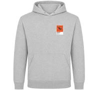 Robin van Persie Netherlands Icon Frame Men's Hoodie - Gray / S
