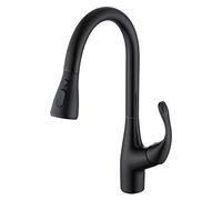 Robinet de Cuisine en Laiton avec pulvérisateur Pull Down, lavabo de Cuisine Spray Spray Sork à 360 ° 360 °