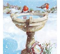 Robins in Garden Birdbath Winter Scene - Pack of 6 Festive Art Xmas Charity Christmas & New Year Greetings Cards