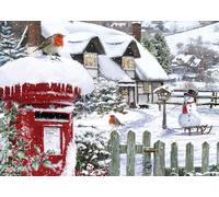 Robins in the Snow
