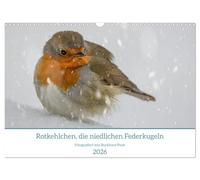 Robins, the cute feather balls UK-Version (Wall Calendar 2026 DIN A3 Landscape), CALVENDO 12 Month Wall Calendar
