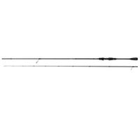 Robinson Toshido Light Spin Rod