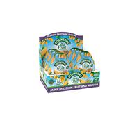 Robinsons Mini - No Added Sugar - Low Calorie - Passion Fruit and Mango - Makes 20 Drinks Per Pack, 6 x 66 ml Packs