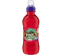Robinsons Summer Fruits Fruit Shoots - 24x275ml