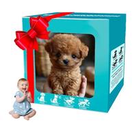 Robot Dog for Kids, 2025 Robot Dog, My Realistic Robot Puppy That Acts Like a Real Puppy for Walking, Barking, Creative Animal Plush Toy B