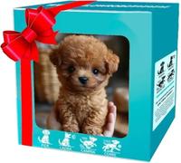 Robot Dog, My Realistic Robotic Puppy, Interactive Robotic Puppy Toy with Realistic Walking, Barking, Sitting & Running, Electronic Pet Gift for Kids Adults (B)