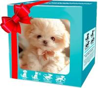 Robot Dog, My Realistic Robotic Puppy, Interactive Robotic Puppy Toy with Realistic Walking, Barking, Sitting & Running, Electronic Pet Gift for Kids Adults (C)