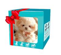 Robot Dog - My Realistic Robots Puppy,Interactive Robotic Puppy Toy - Walking, Barking,Tail Wagging,Electronic Pet Gift for Kids (B)