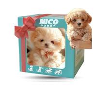 Robot Dog Nico, Realistic Robotic AI Pet Dogs, Robot Puppy That Acts Like a Real Dog, Electronic Interactive Stuffed Dogs for Sitting, Barking, Walking and Running B