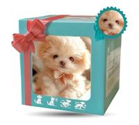 Robot Dog Nico, Realistic Robotic Ai Pet Dogs, Robot Puppy That Acts Like A Real Dog, Electronic Interactive Stuffed Dogs For Sitting, Barking, Walking And Running #1