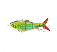 Robotic Swimming Fishing Lure, 3D Robotic Fishing Lure, USB Rechargeable Bionic Fish Bait with Auto Swimmings for Modes Swimming Bait Freshwater and Saltwater (Style H)