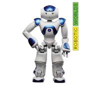 Robotic Worlds: Ausst. Kat. Die Neue Sammlung - The Design Museum, München