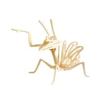 Robotime 3D Wooden DIY Model Kit Mantis in Brown Robotime Brown