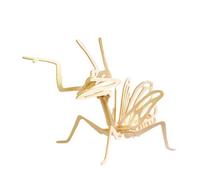 Robotime 3D Wooden Praying Mantis Insect Puzzle
