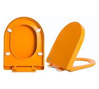 Robust Toilet Lid with D Shape Soft Close Seat, Top Fix Adjust Hinges, and Easy Clean Slow Close Mechanism