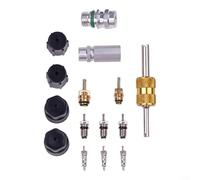Robust Valve Core Kit for Air Conditioning Systems Allowing for Streamlined Management of Vehicle AC