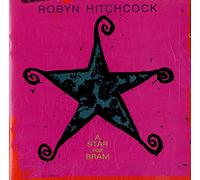 Robyn Hitchcock - A Star For Bram