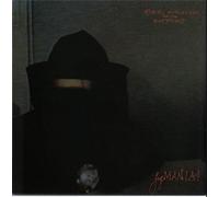 Robyn Hitchcock & The Egyptians - fegmania! LP