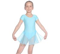 Roch Valley Dance Leotard RV2383 Dress - Nylon Lycra, Short Sleeve Leotard with Chiffon Skirt attached for Class or Show