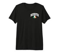 Rochester St Patricks Day Shamrock Irish Flag Premium T-Shirt
