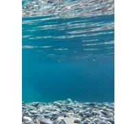 Rock Bottom Hardcover Jpurnal: 300 page lined